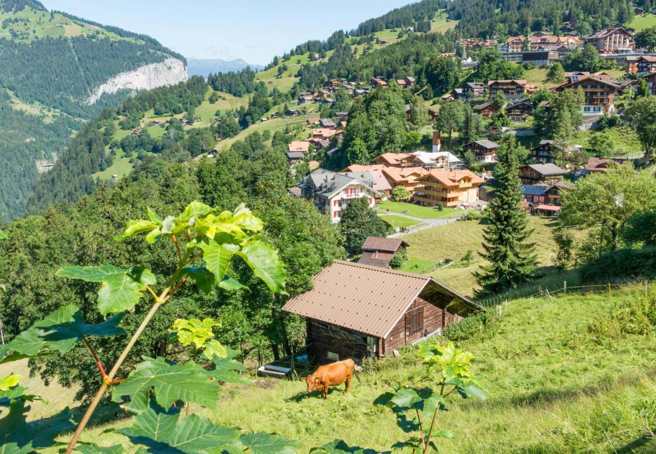 Panoramapark Soleil Chalet B Wengen Esterno foto